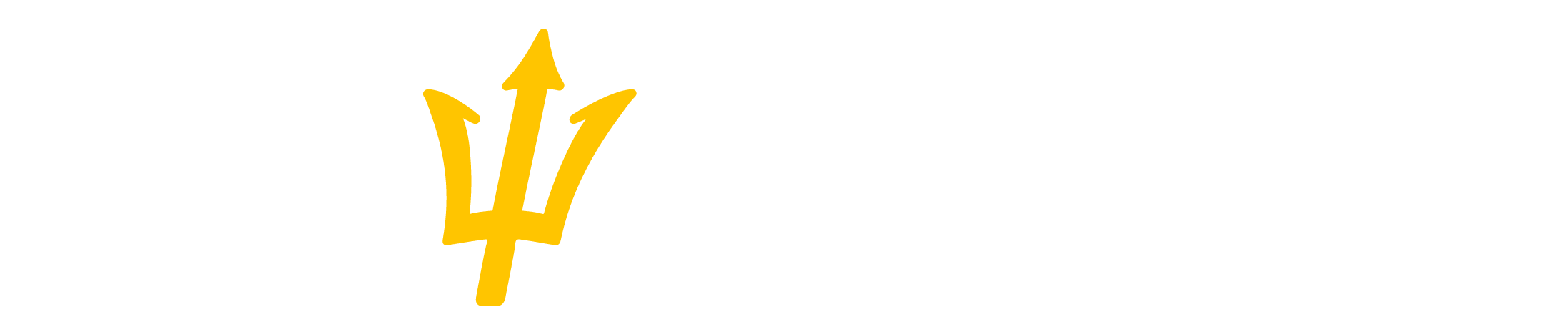 BeSWIFT